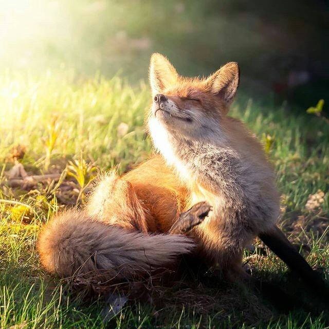 Nice Photo
