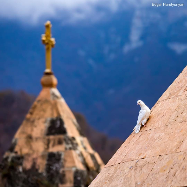 photo:Edgar Harutyunyan
