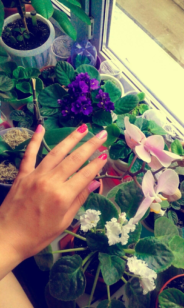violet