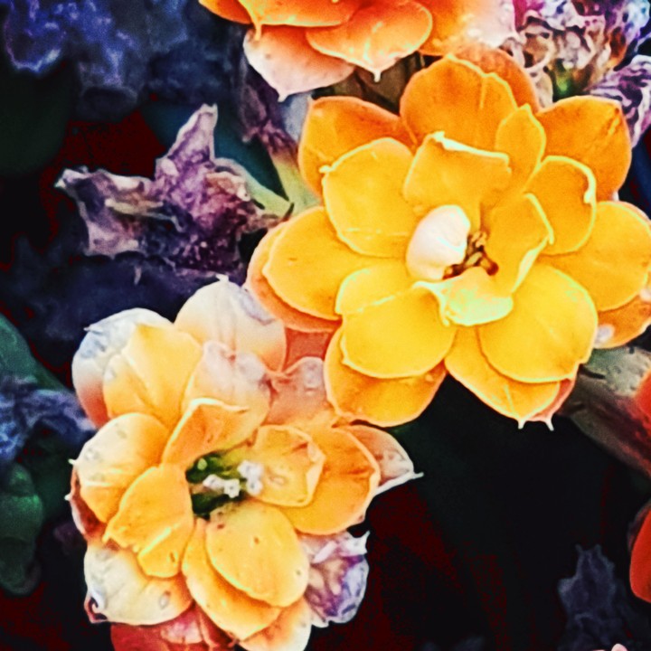 lovely yellow
