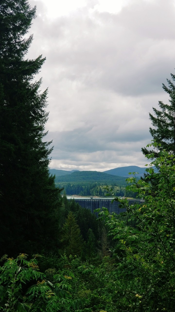 PNW dame