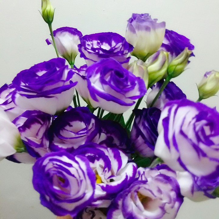 浪漫的花