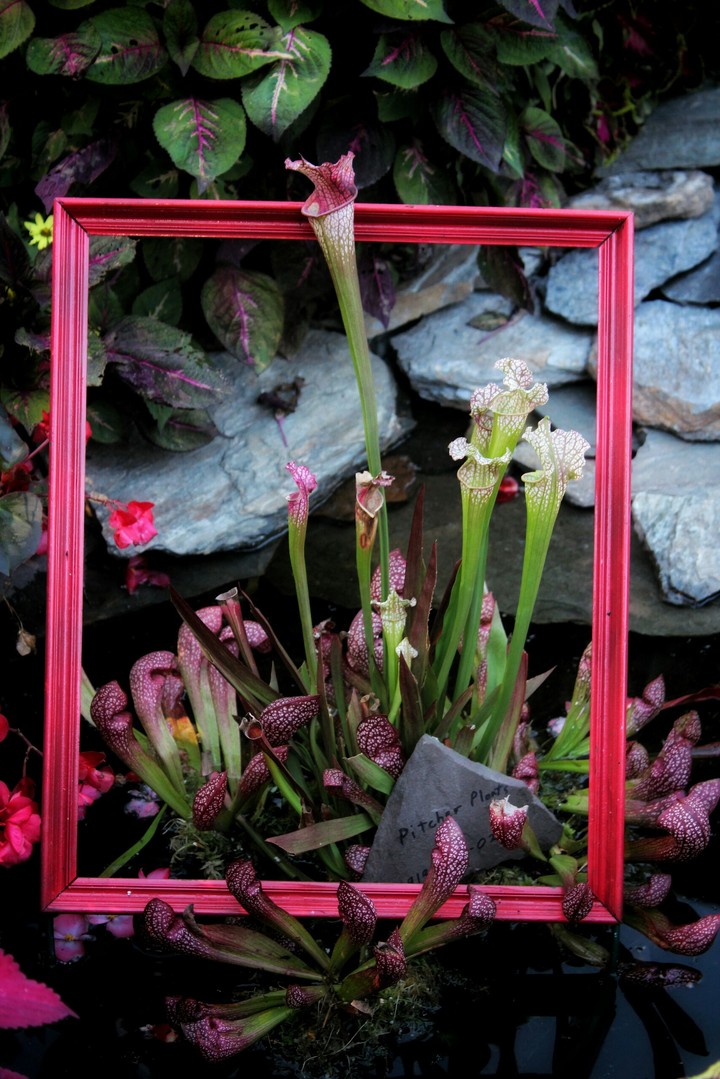 framed