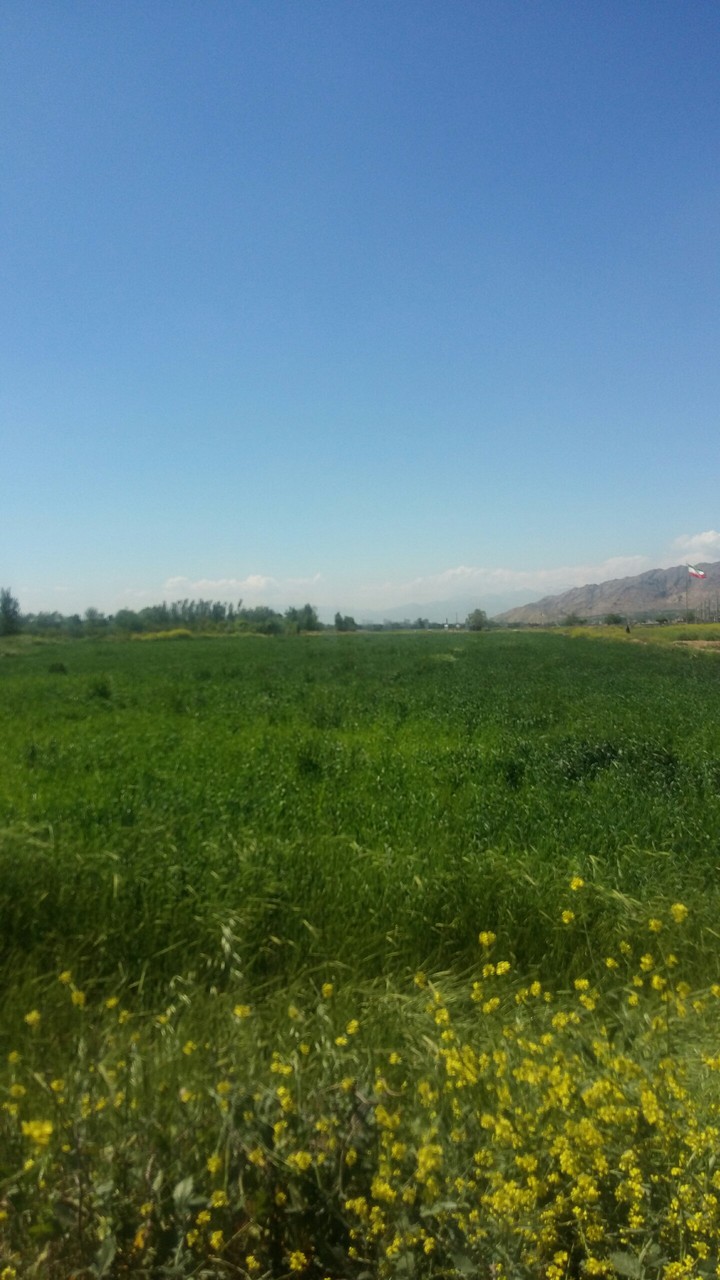 pakdasht