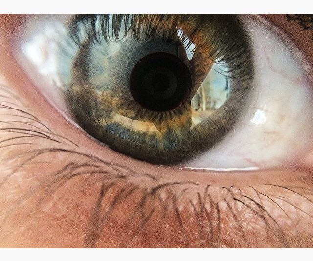 Eyes on Macro