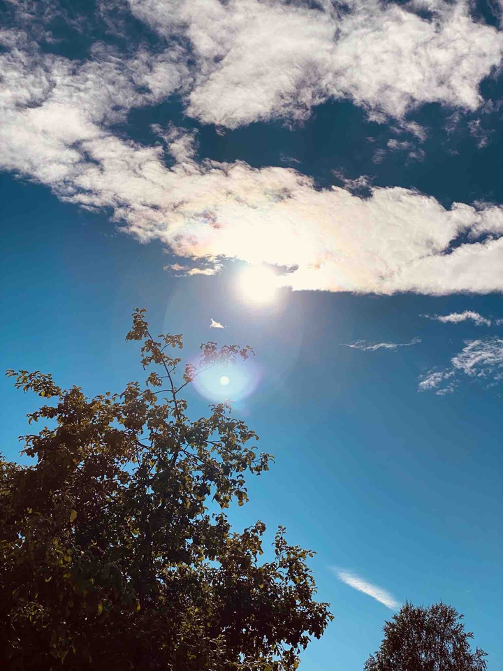 sun
