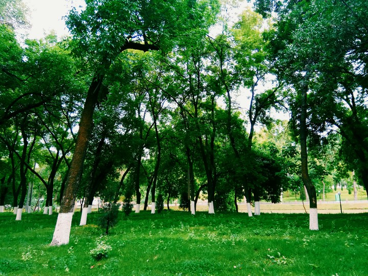 весна