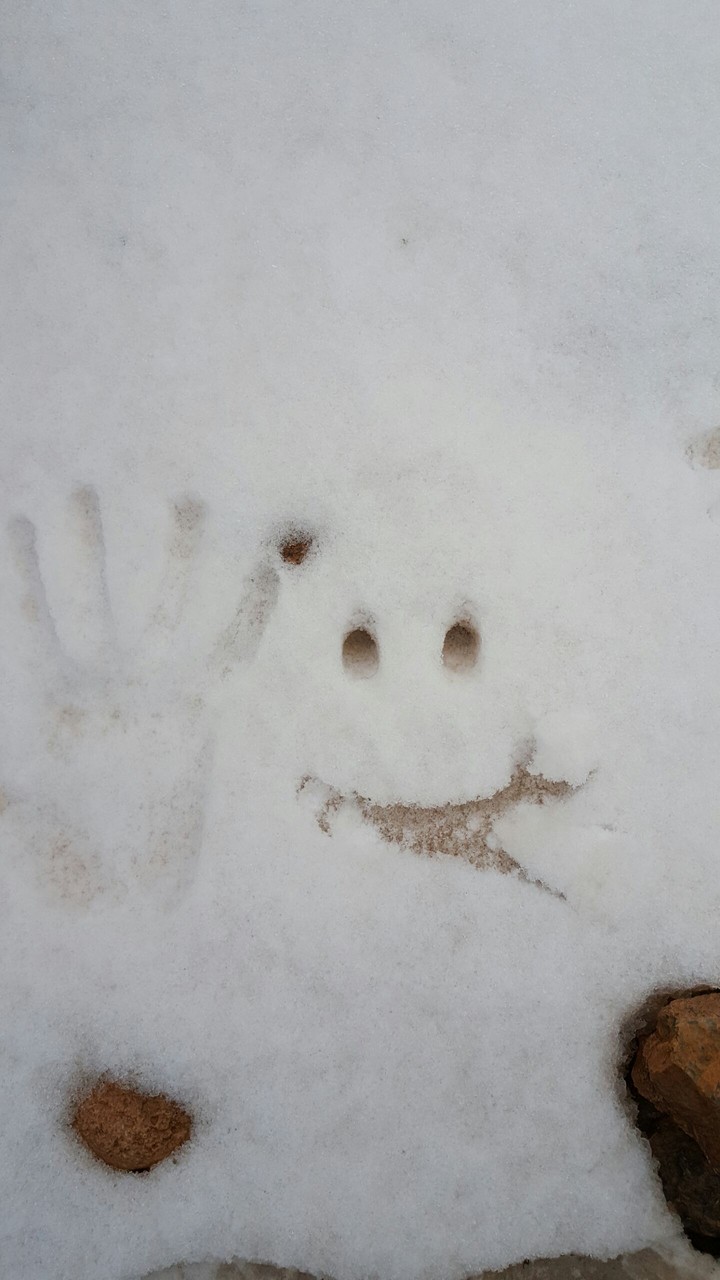 snow face