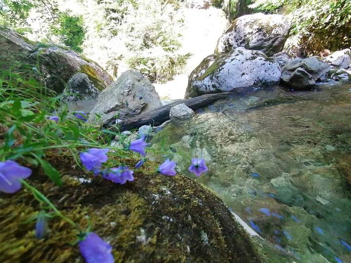 Le long d'une rivière