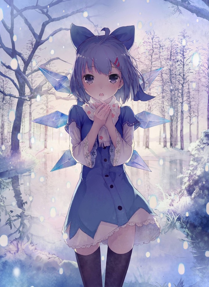 Winter fairy