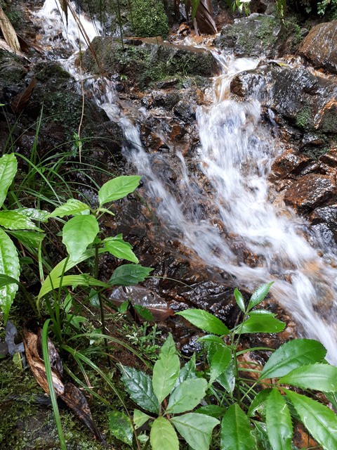 nacimiento nuboso