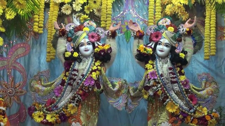 gaur nitai