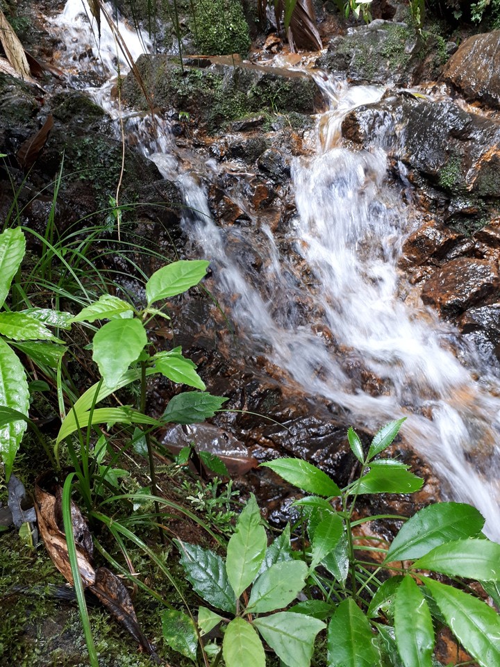nacimiento nuboso