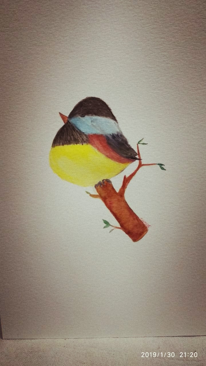 the bird