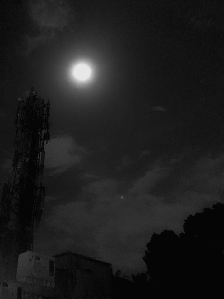 night
