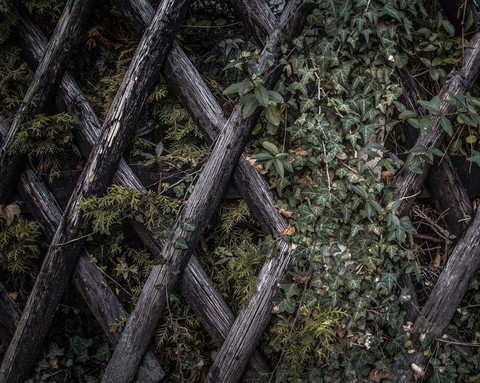 fence, mesh wallpapers