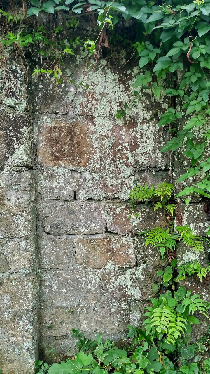 the wall