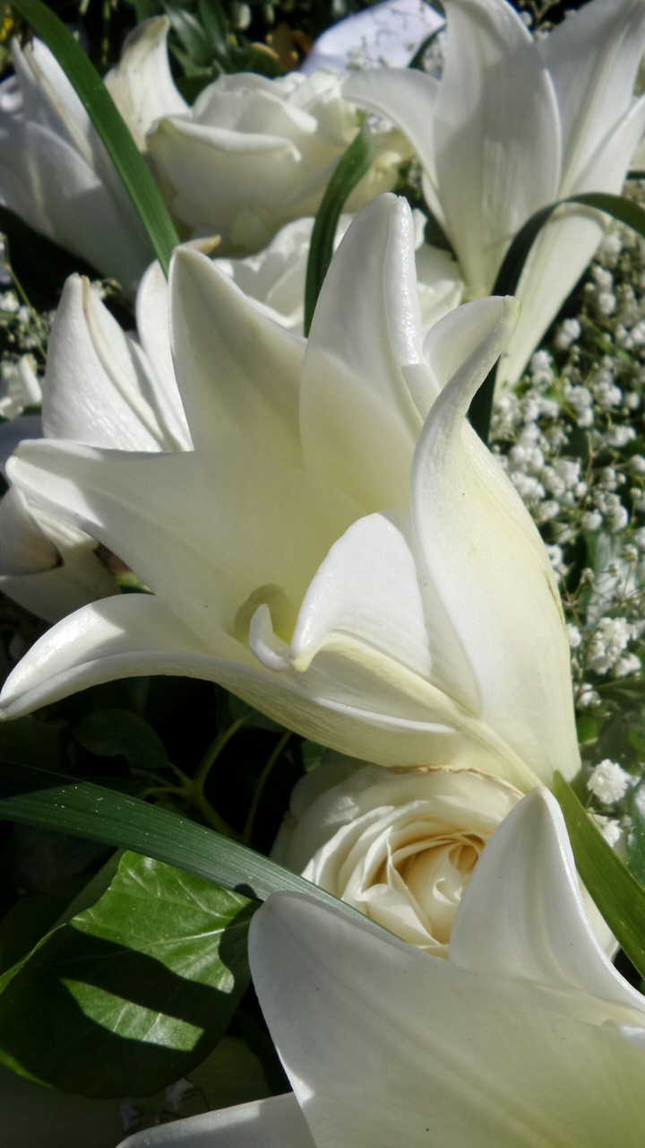 White Flowers
