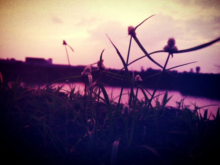 evening