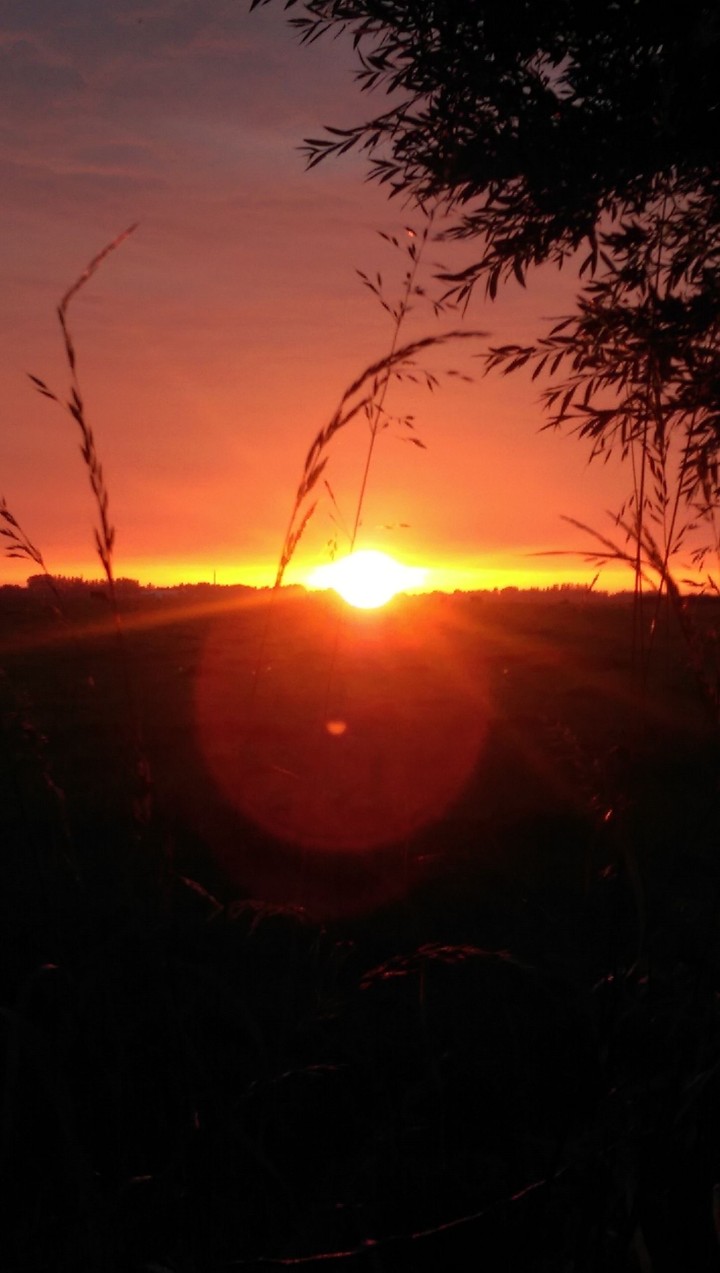 Evening glow/sunset in Wijdenes The Netherlands