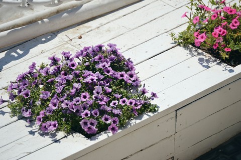 sunny day, Odessa