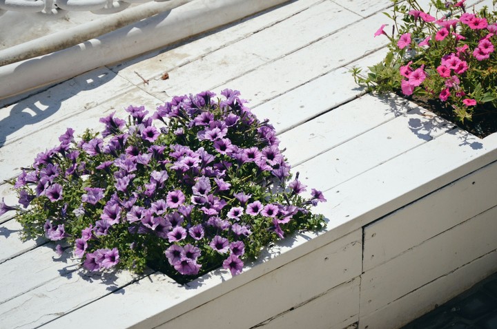 sunny day, Odessa
