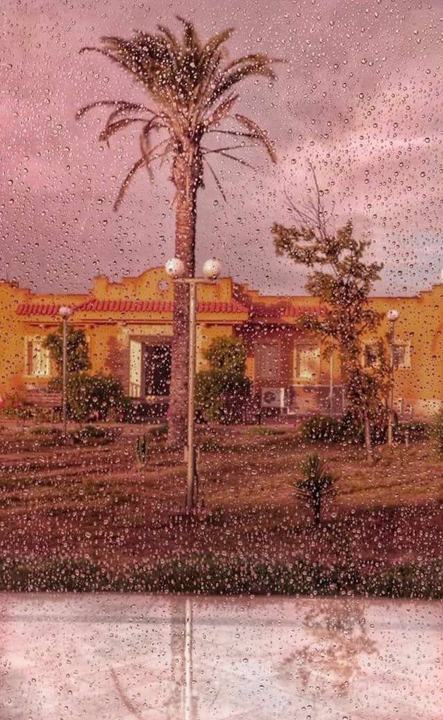 Rainy day