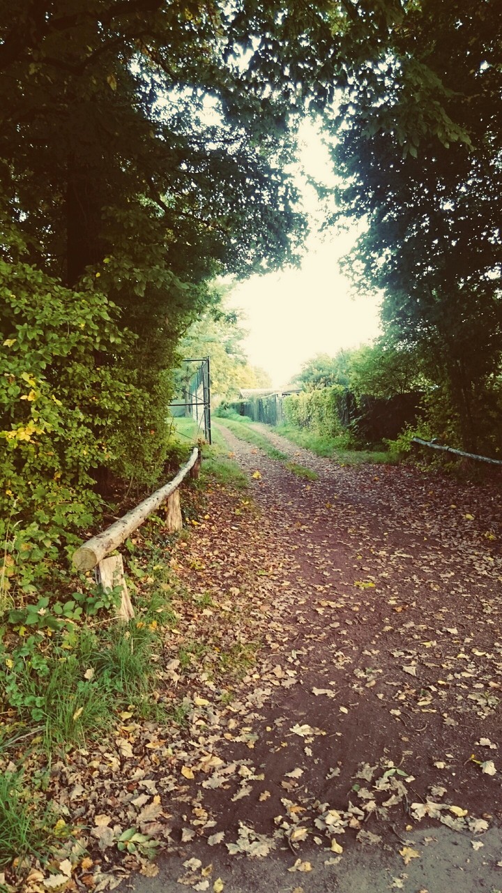 way