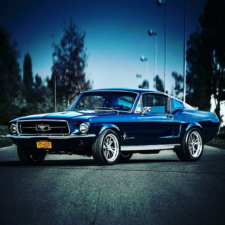 beautifull musclecar mustang