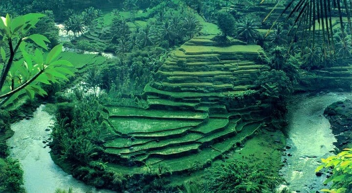 Ubud, Bali, indonesia