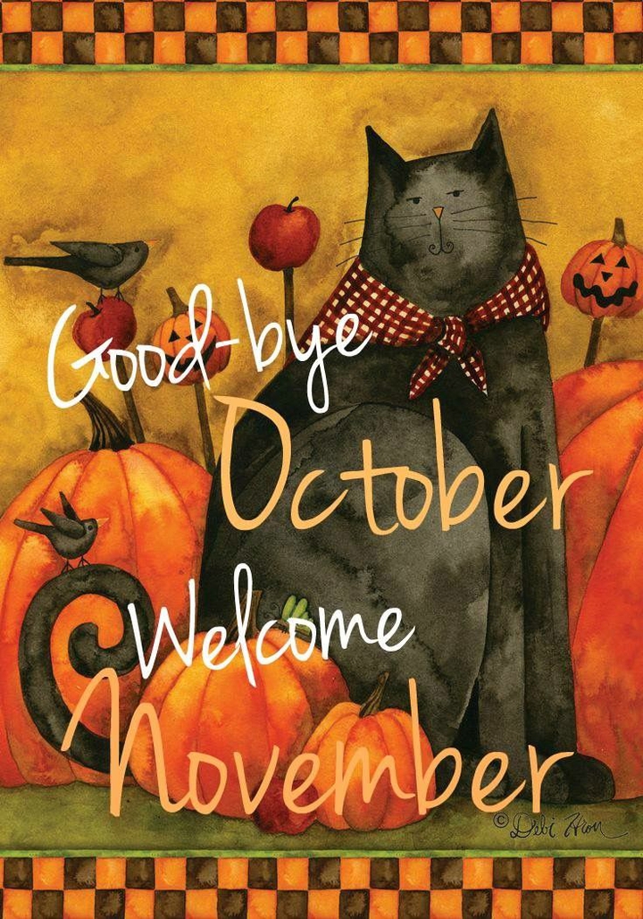 hello November ?
