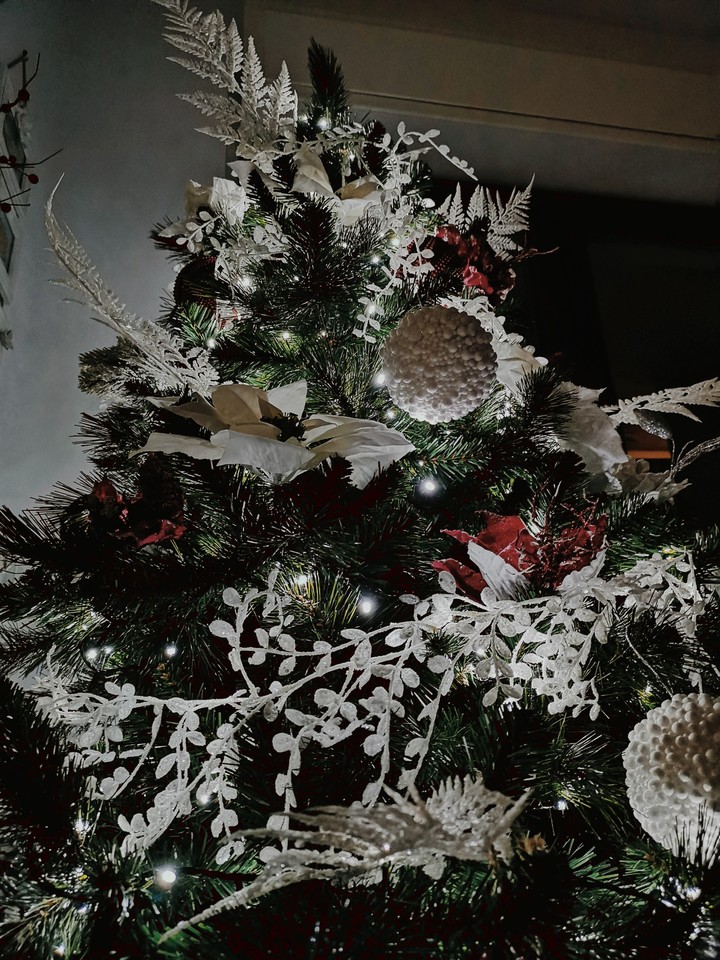 Frozen Christmas