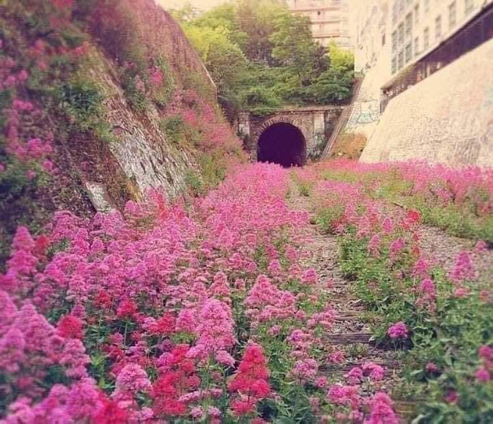 nature