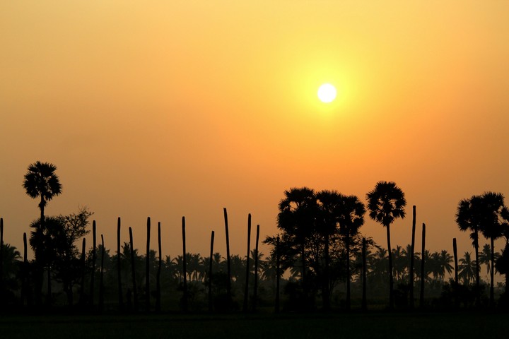 sunset