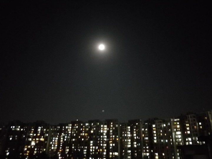 moonlight
