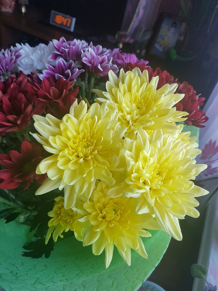 flower