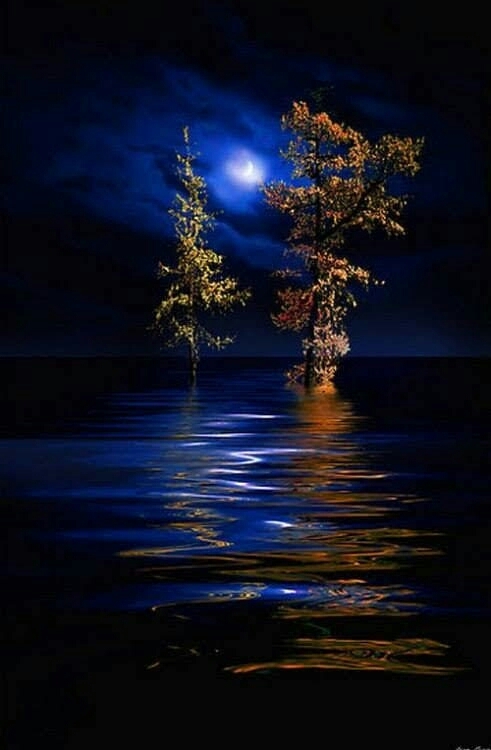 nocturne