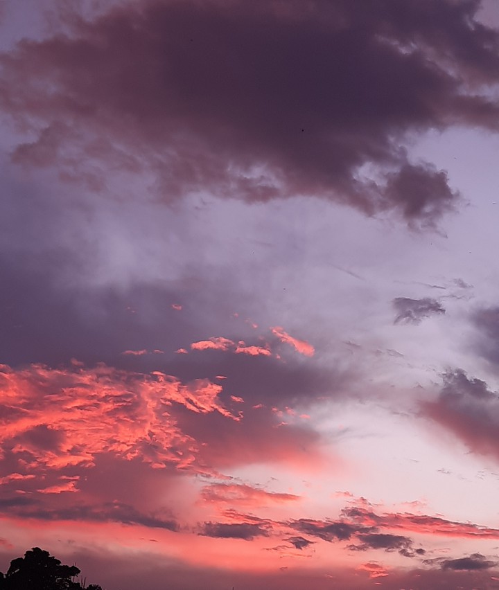 pinkish sky