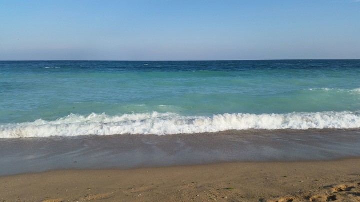 Water