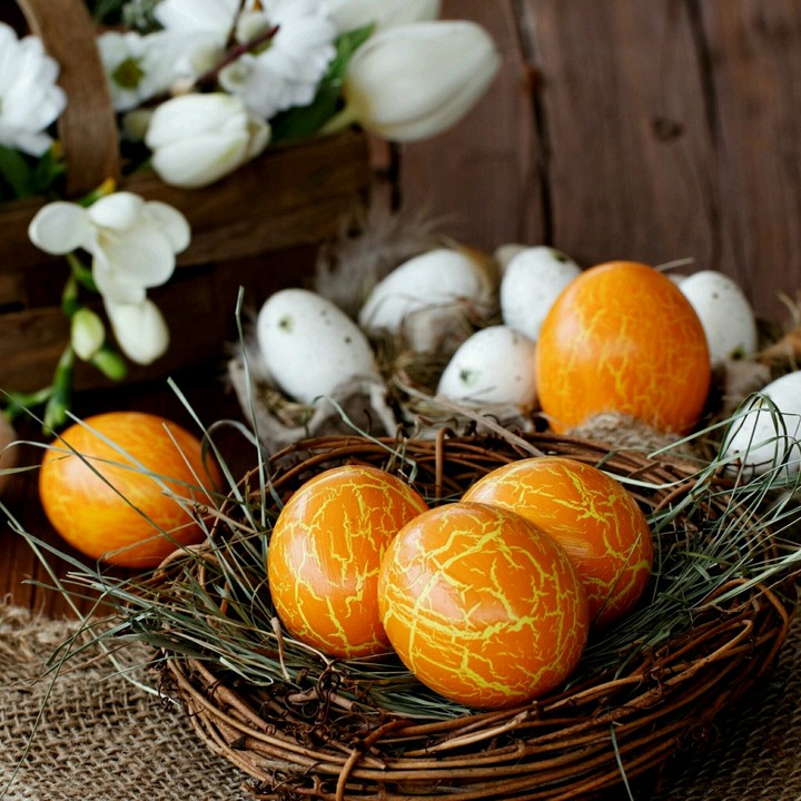 eggs
