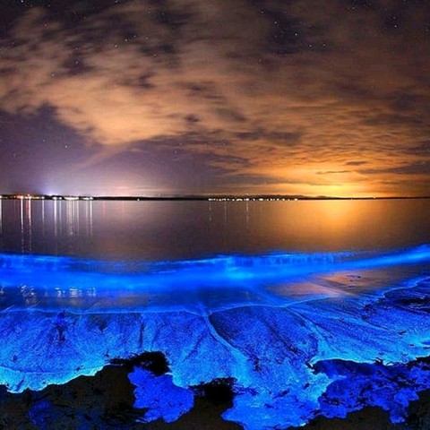 neon beach
