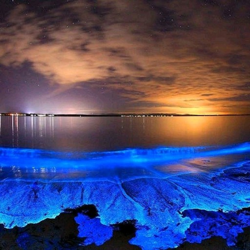 neon beach