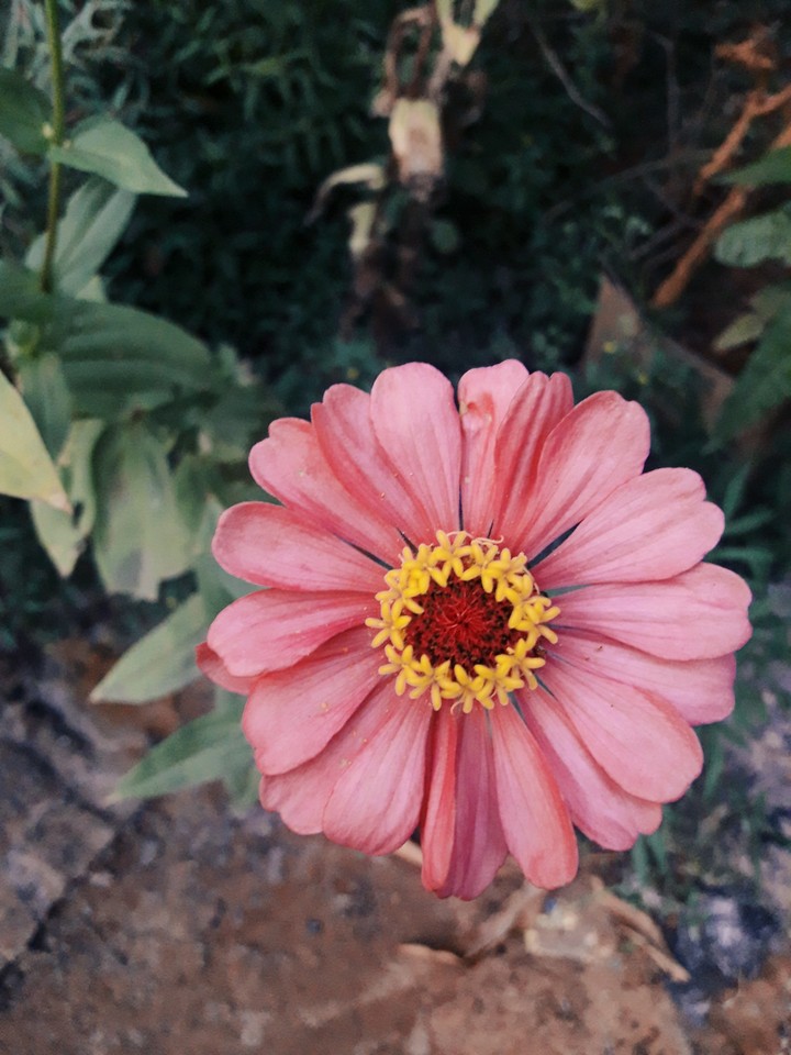 ❤