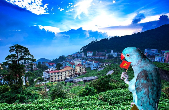 vietnam