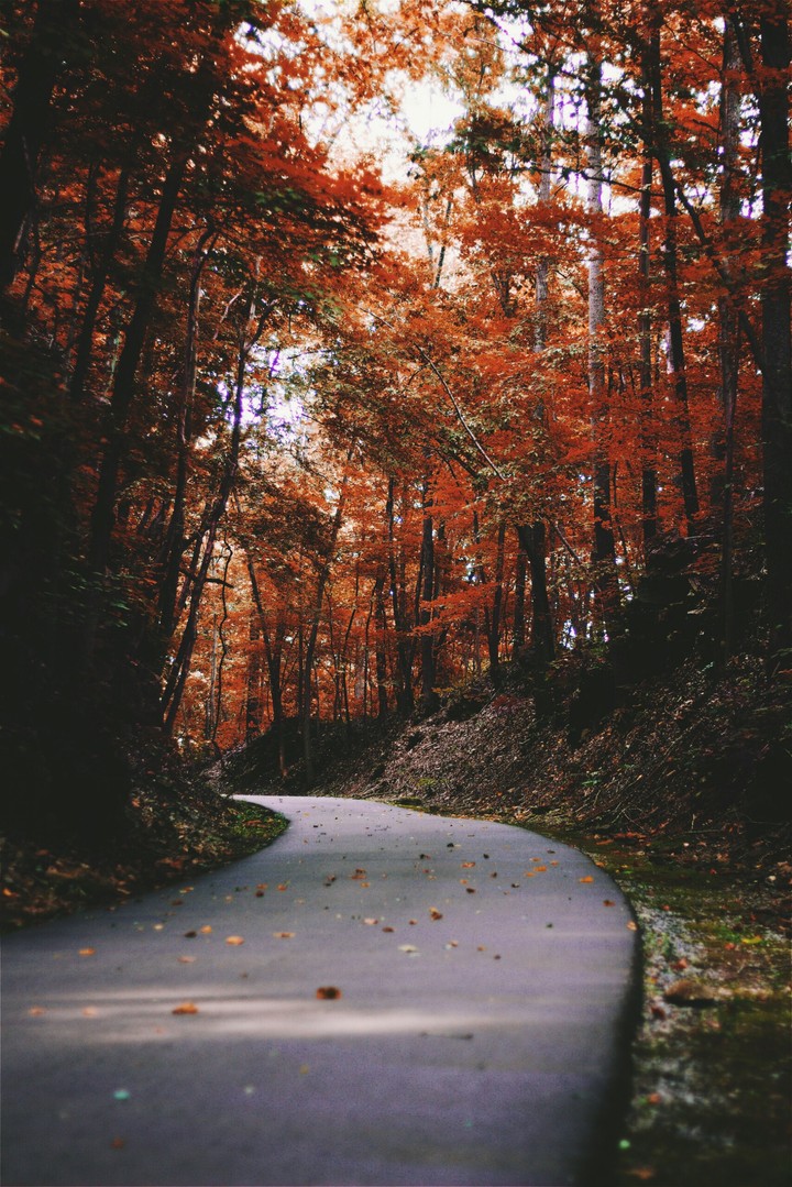 Autumn is great