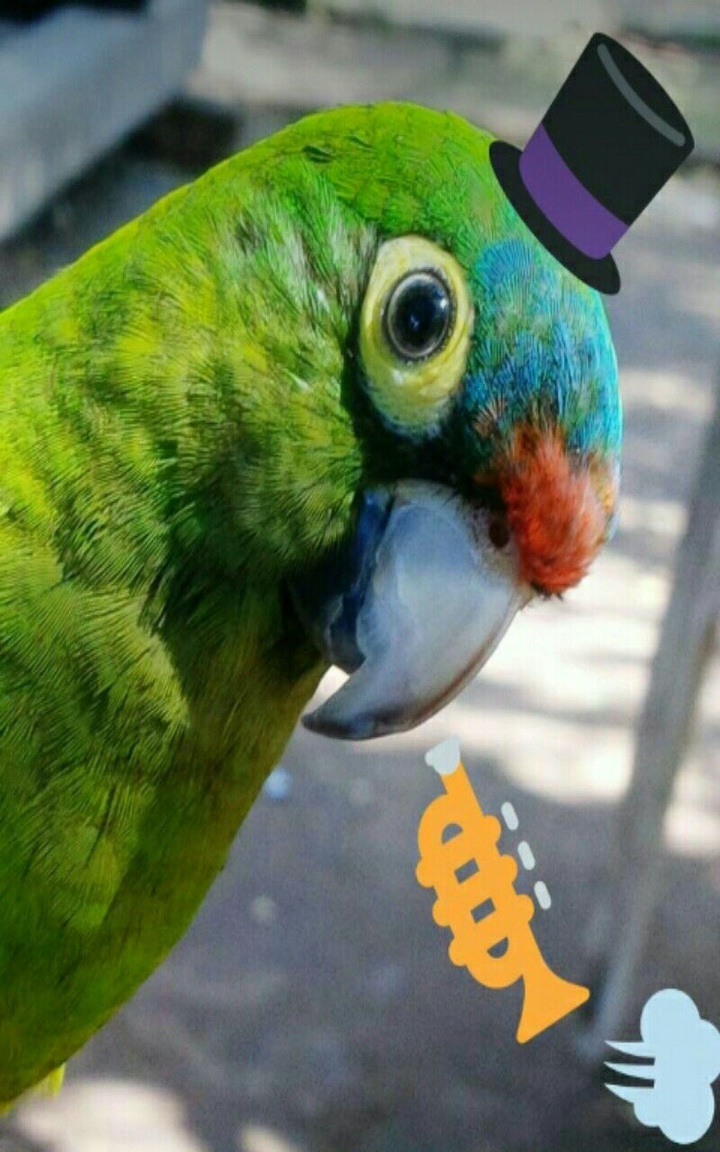 Cute 