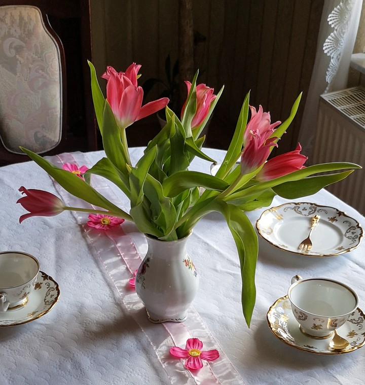 Tulpenvielfalt