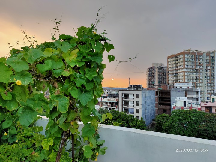 sunrise