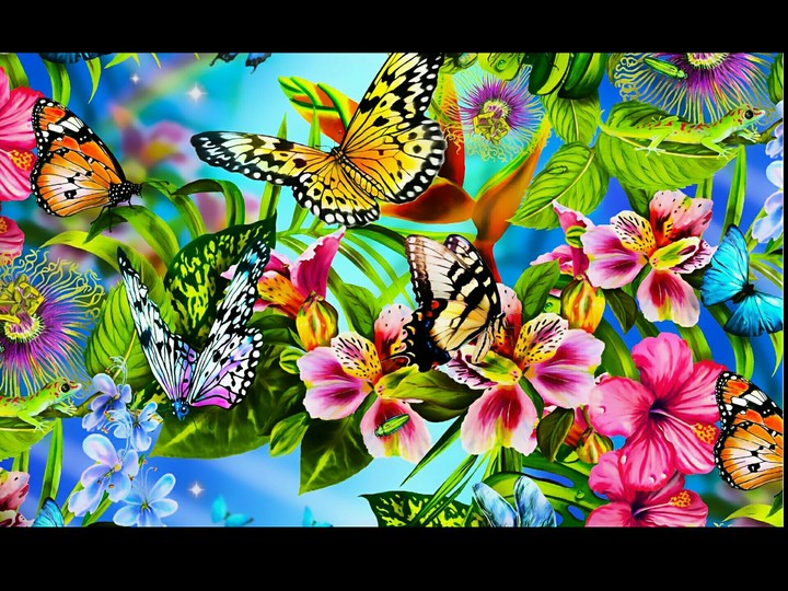 Schmetterlinge & Blumenpracht