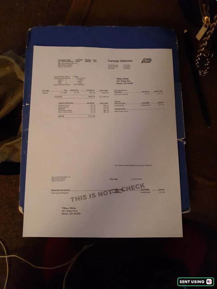 Pay Stub for November